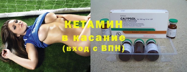 крисы Алексин