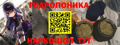 дживик Донской
