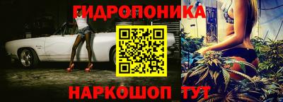 стафф Дубна