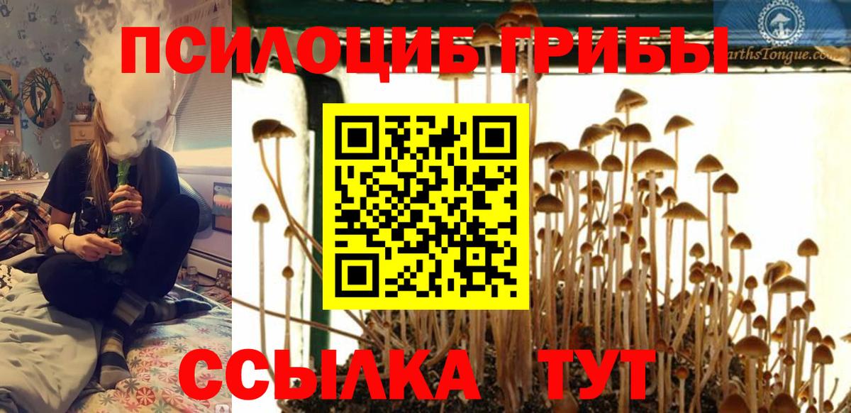 Галлюциногенные грибы мухоморы Новошахтинск