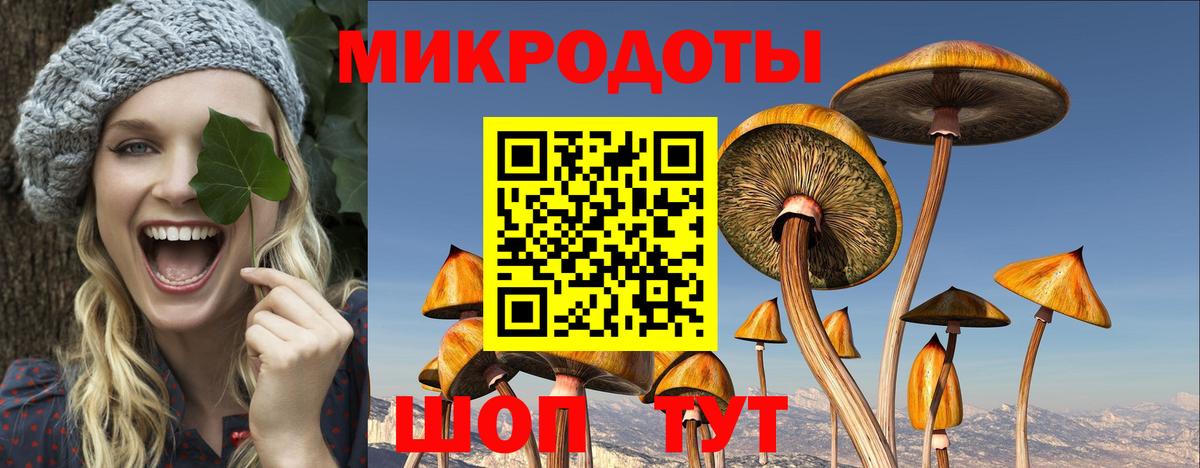 Новошахтинск  Псилоцибиновые грибы прущие грибы  Вход с VPN 