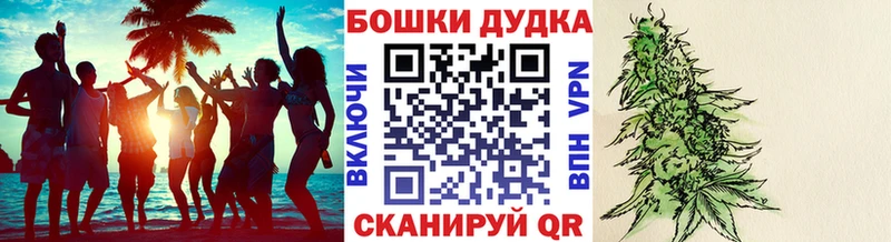 Марихуана конопля  Новошахтинск 