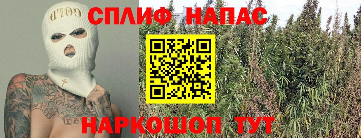 Шишки марихуана сатива  Вход с VPN  Новошахтинск  МАРИХУАНА семена  Конопля VHQ 
